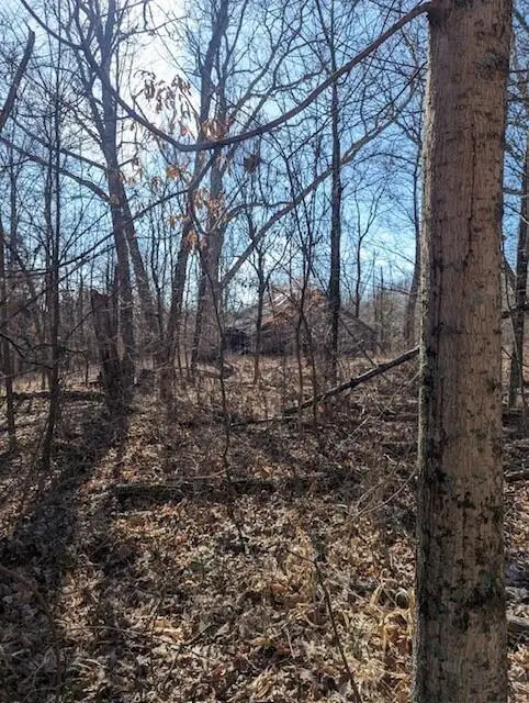 0 Fishing Creek Road, Falmouth, KY 41040 - Image #3