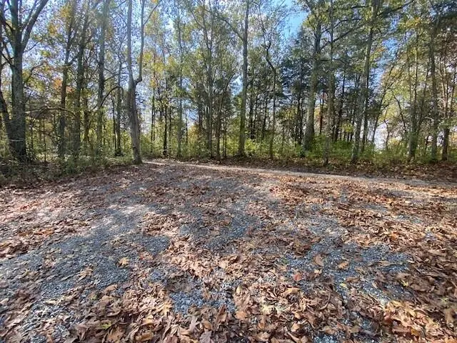 697 Galbraith Road, Brooksville, KY 41004 - Image #2