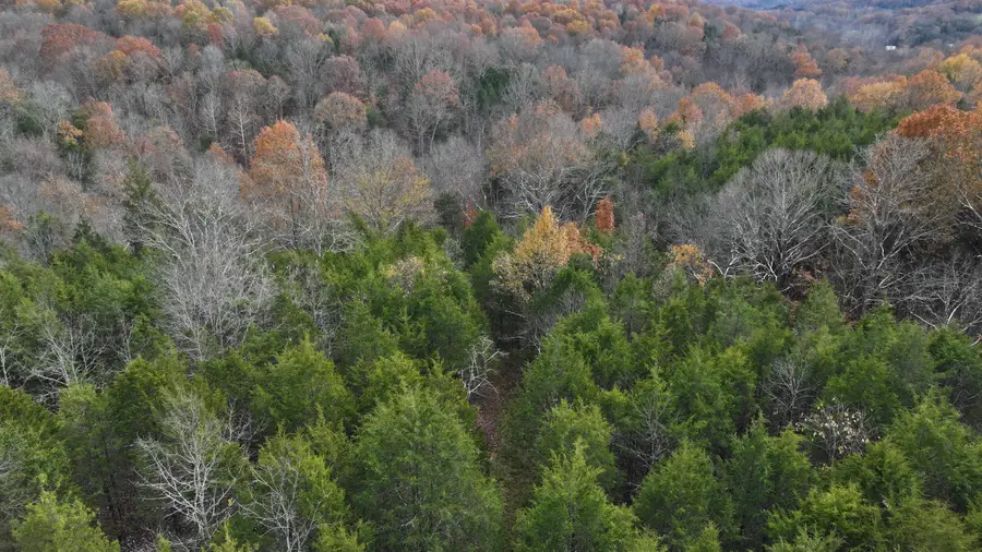 2300 Herman Green Road, Owenton, KY 40359 - Image #3