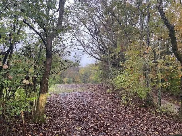 881 Galbraith Road, Brooksville, KY 41004 - Image #1