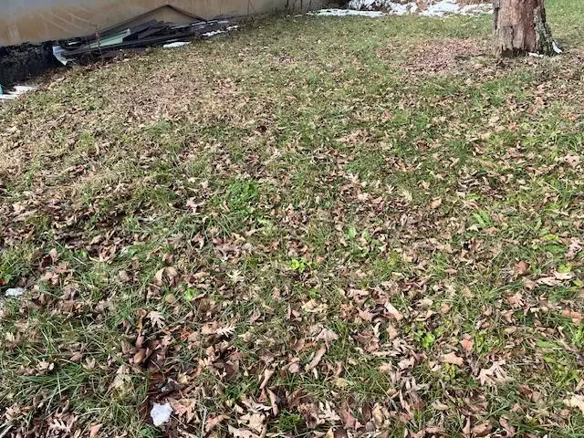 12112 Don Street, Walton, KY 41094 - Image #2