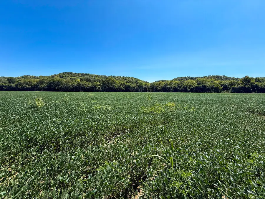 10008 Riddles Run Road, Union, KY 41091 - Image #2