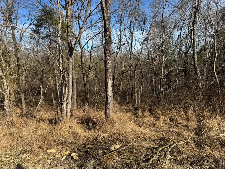 11175 New Columbus Road, Owenton, KY 40359 - #3