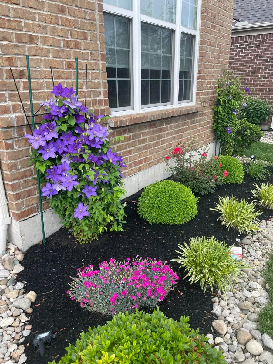 1104 Mccarron Lane, Union, KY 41091 - Image #3