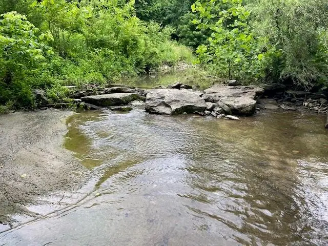 89 S Kennon Road, Foster, KY 41043 - Image #2