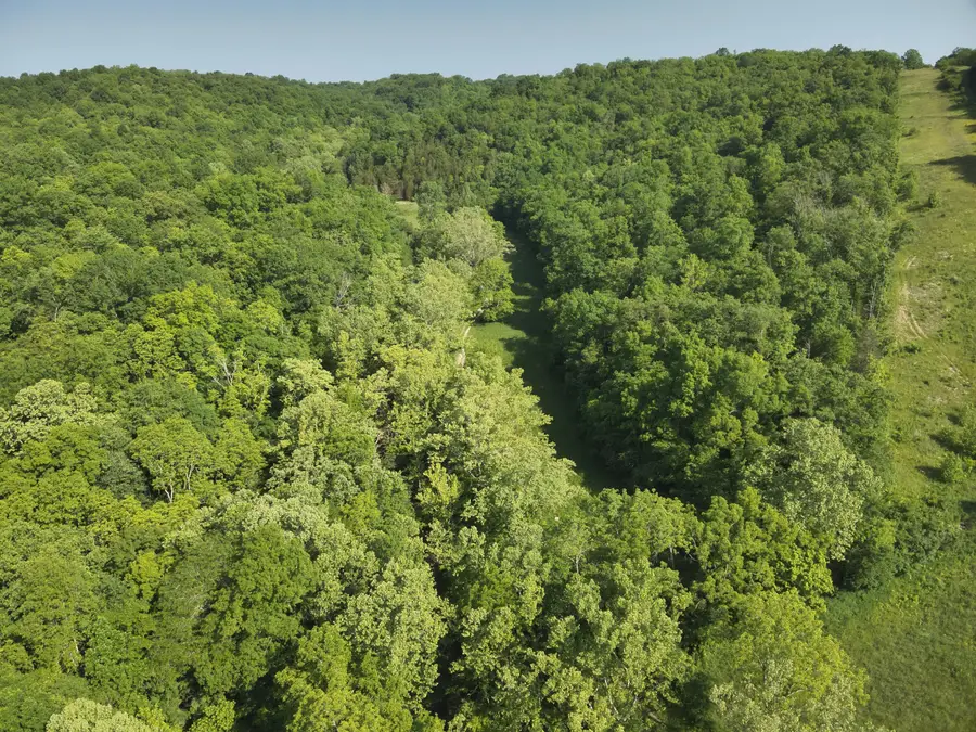 89 S Kennon Road, Foster, KY 41043 - Image #3