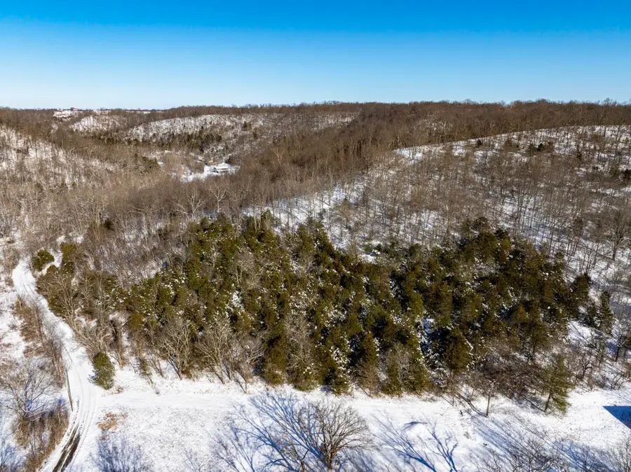 0 Lockmier 5+/- Acres Road, Augusta, KY 41002 - #3