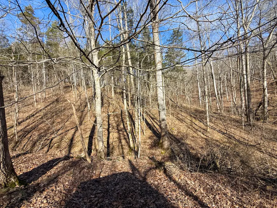 248 Sulphur Lick Road, Frankfort, KY 40601 - #3