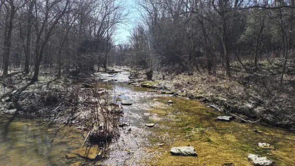 85 ac +/- Teresita Road, Owenton, KY 40359