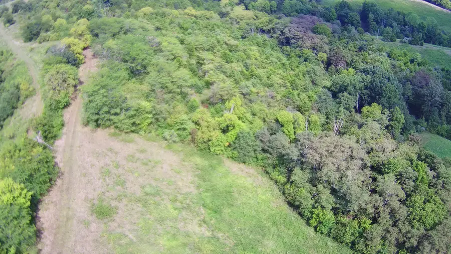 Tract 1 Delaney Road, Corinth, KY 41010 - #2