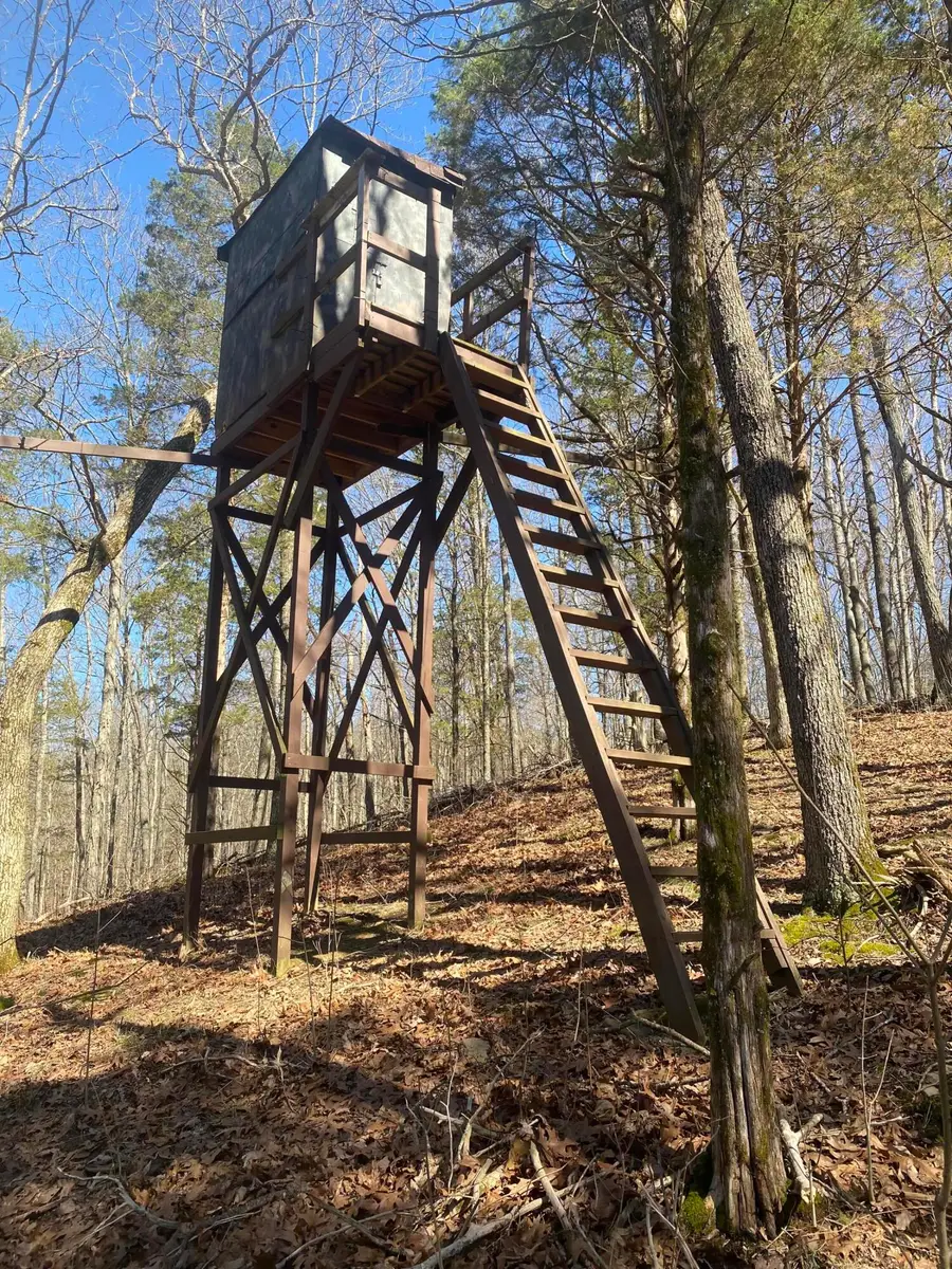 0 Mattox Road, Falmouth, KY 41040 - #2