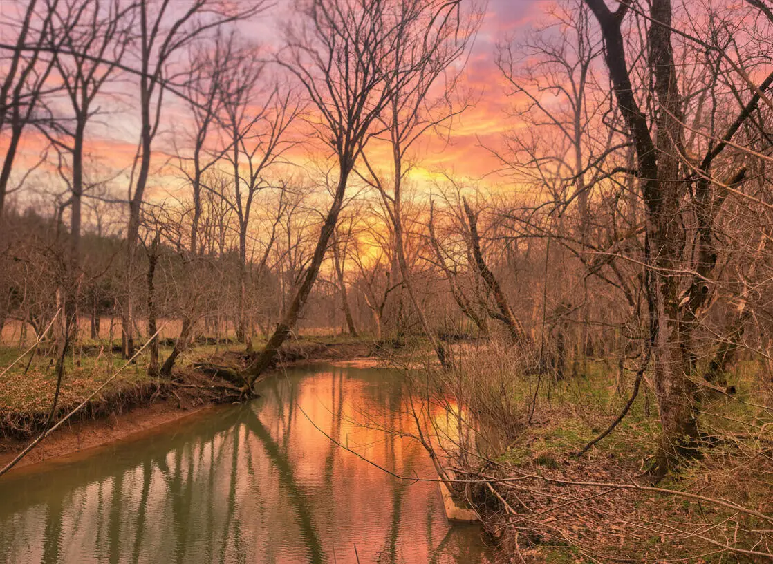 1205 Turner Road, Williamstown, KY 41097 - #1