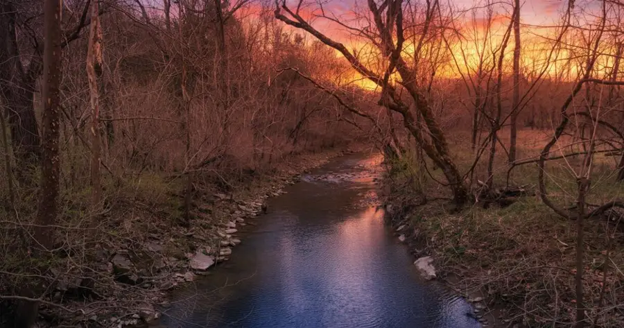 1205 Turner Road, Williamstown, KY 41097 - #2