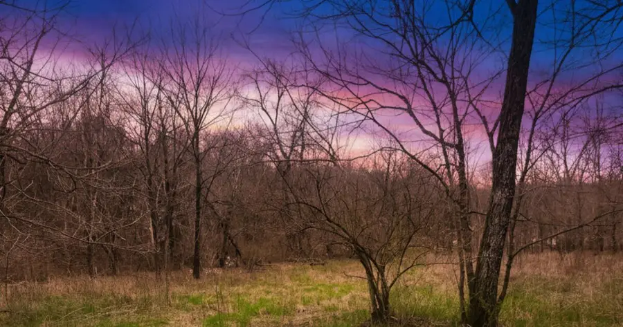 1205 Turner Road, Williamstown, KY 41097 - #3