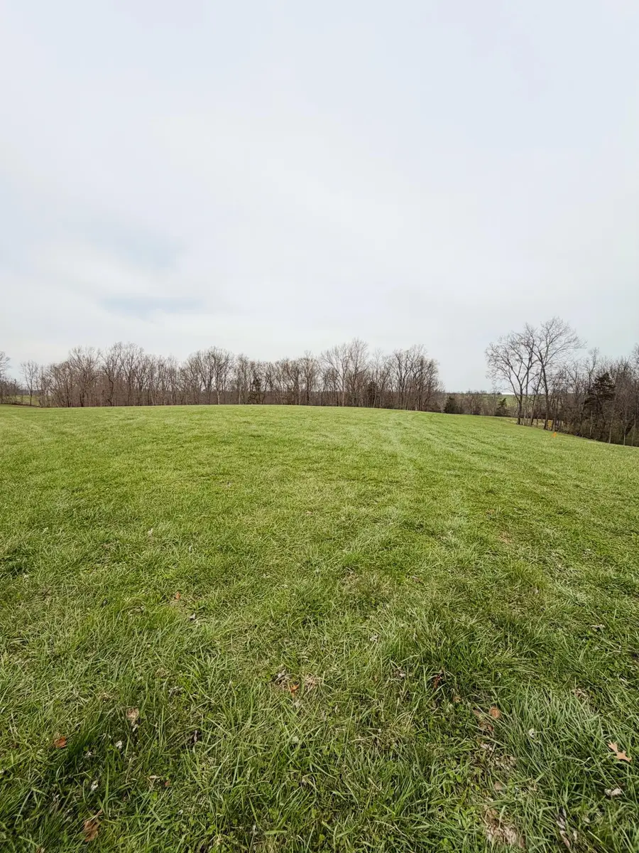 11.5 Ac Osborne Road, Dry Ridge, KY 41035 - #2