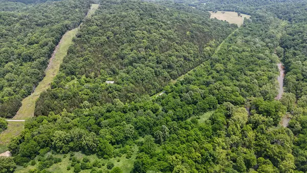 0 Big Twin Creek Road, Worthville, KY 41098