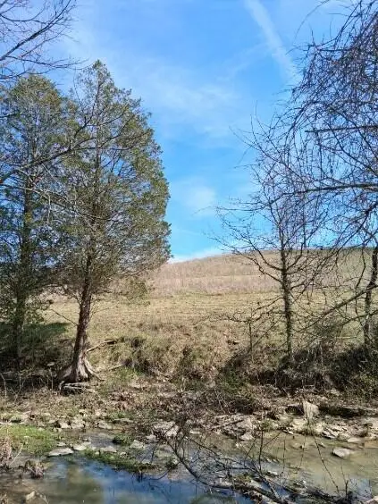 105 Scaffold Lick Creek Road, Berry, KY 41003