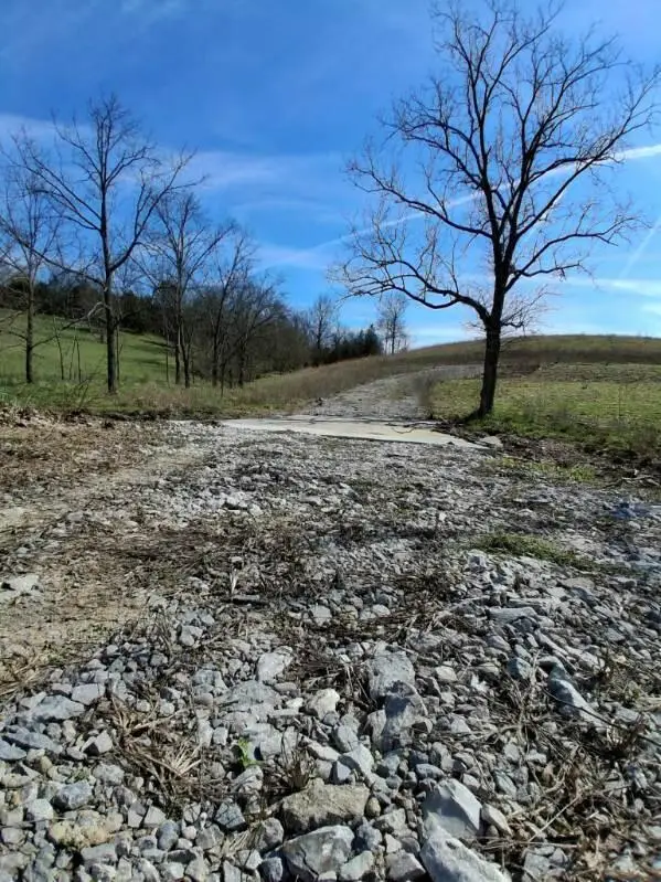 105 Scaffold Lick Creek Road, Berry, KY 41003 - #3