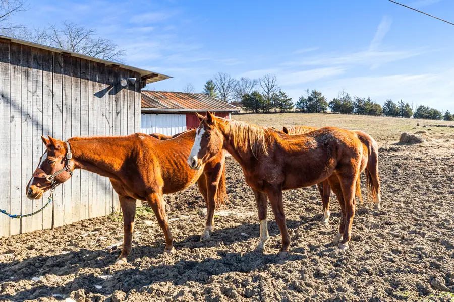 6116 Highway 17, Demossville, KY 41033 - #3