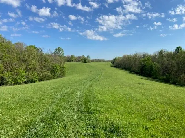 2451 Sardis Road, Mount Olivet, KY 41064 - #2