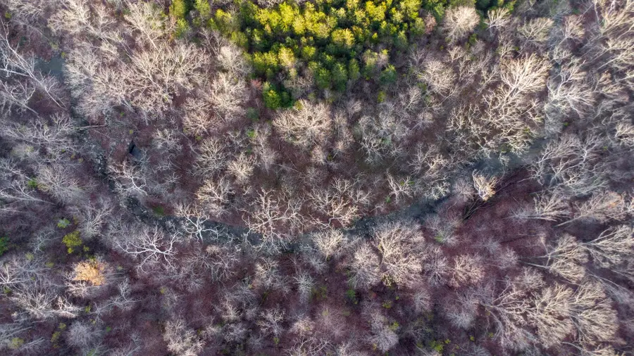 580 Claiborne Drive, Dry Ridge, KY 41035 - #3