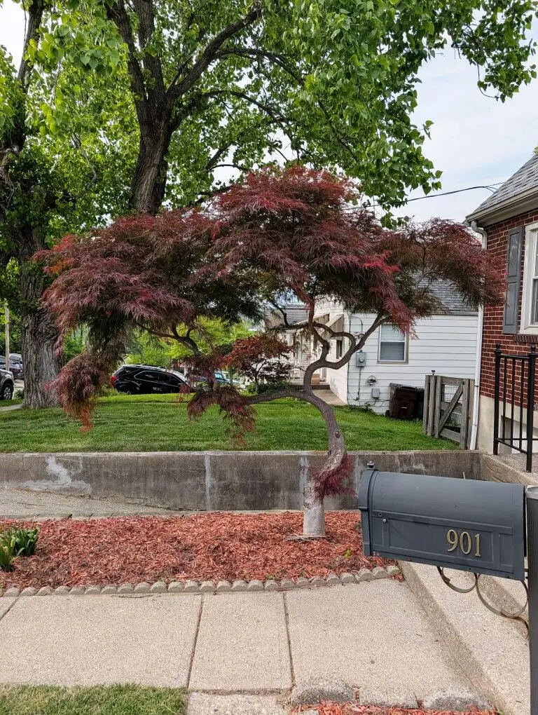 901 Lafayette Avenue, Bellevue, KY 41073 - #2