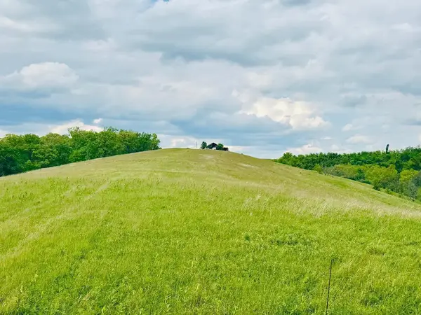 43 Acres Chipman Ridge Road #43 Acres, +/-, Williamstown, KY 41097
