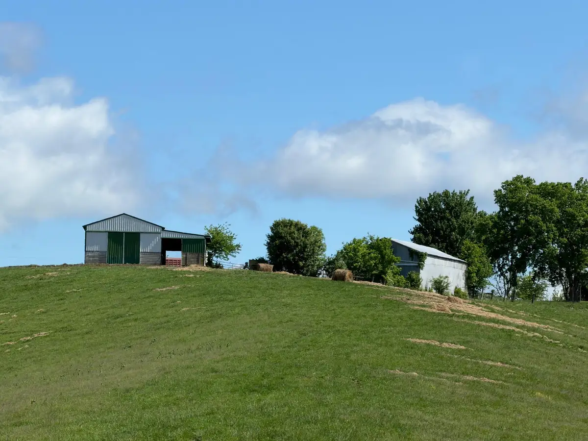20.99 Ac Chipman Ridge Road, Williamstown, KY 41097 - #1