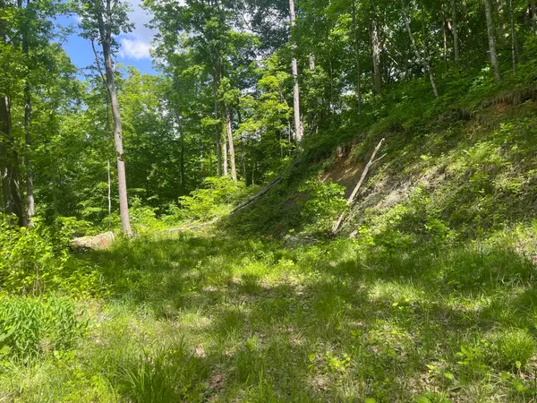 0 Birch Hollow Road #Lot 12, Stanton, KY 40380