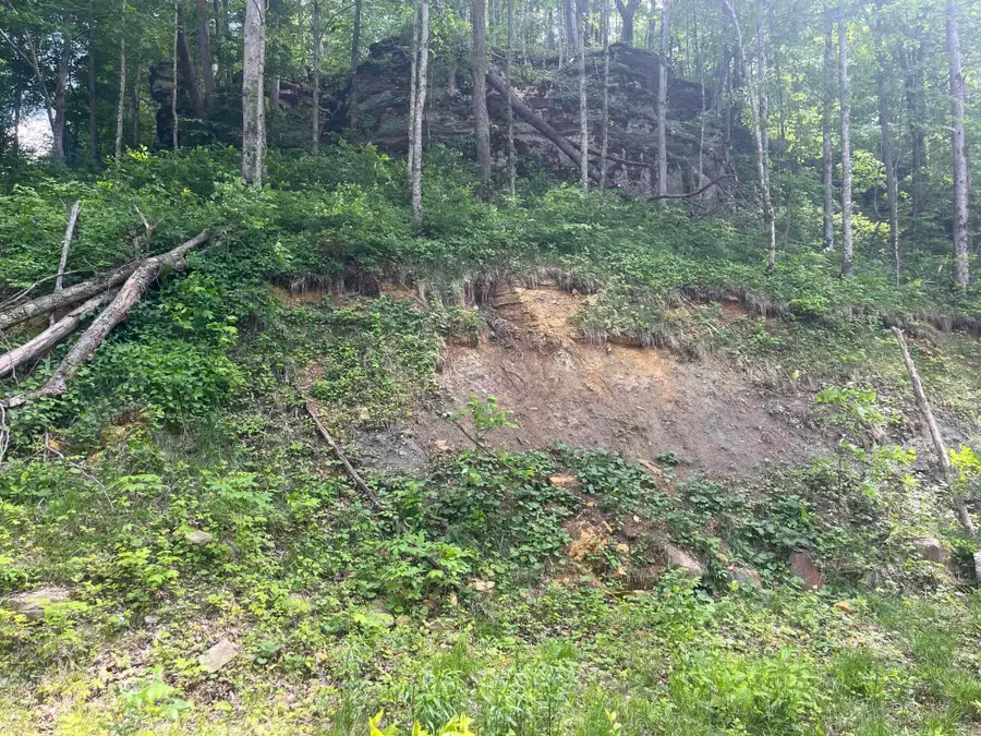 0 Birch Hollow Road #Lot 12, Stanton, KY 40380 - #3