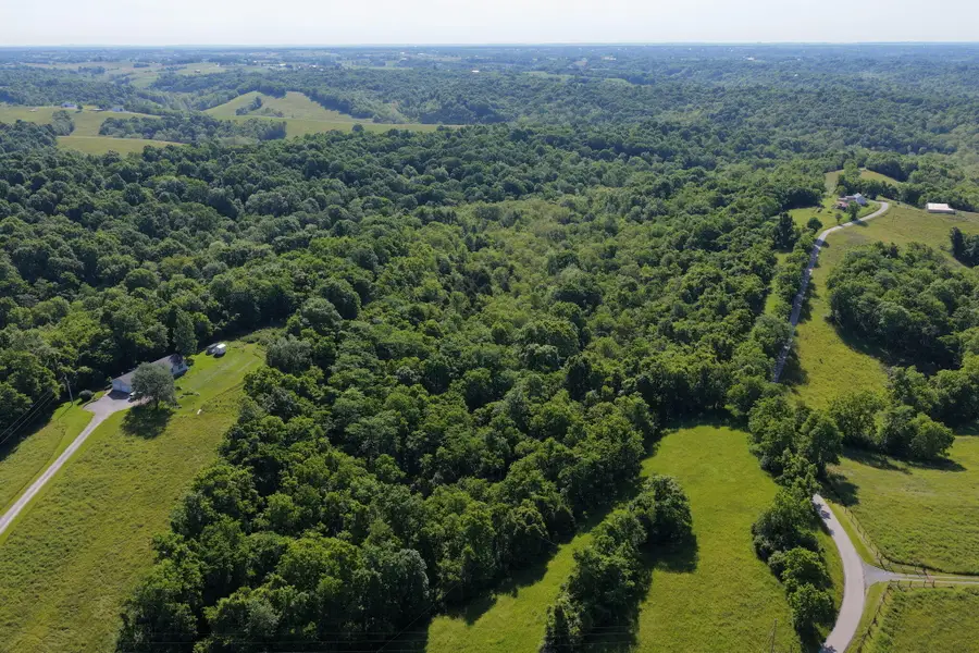 0 Crockett Lane, Mount Olivet, KY 41064 - #3