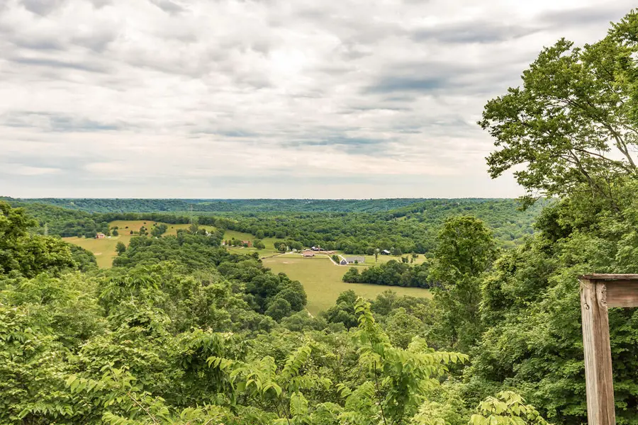 9663 Decoursey Pike, Ryland Heights, KY 41015 - #2