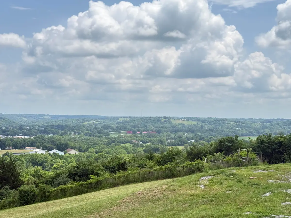 218 Sergeant Petrey Landing, Falmouth, KY 41040 - #1