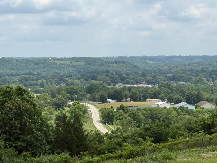 218 Sergeant Petrey Landing, Falmouth, KY 41040 - #2