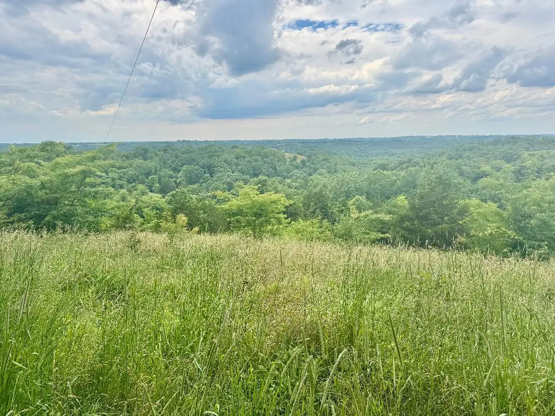 27.28 Acre Hwy 467, Demossville, KY 41033 - #1