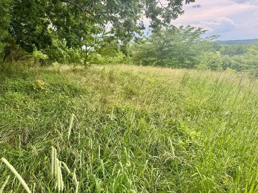 27.28 Acre Hwy 467, Demossville, KY 41033 - #2