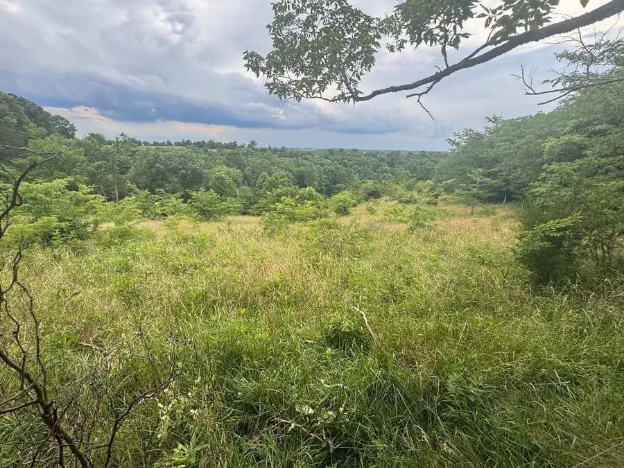 27.28 Acre Hwy 467, Demossville, KY 41033 - #3