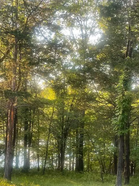 .34 Acre Buckeye Hills Road, Falmouth, KY 41040 - #1