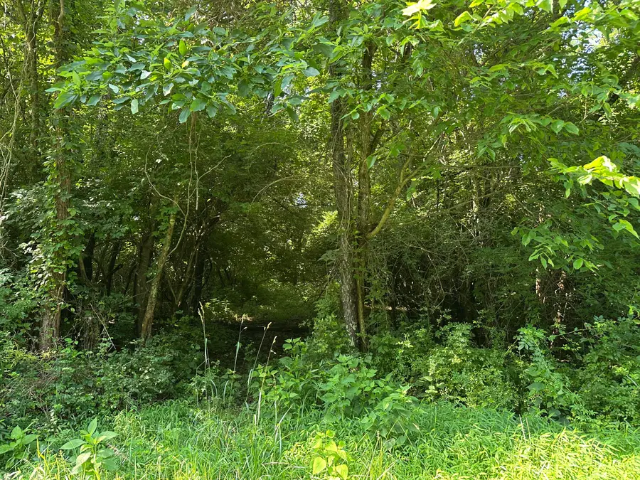 5205 Whitton Road, Petersburg, KY 41080 - #3