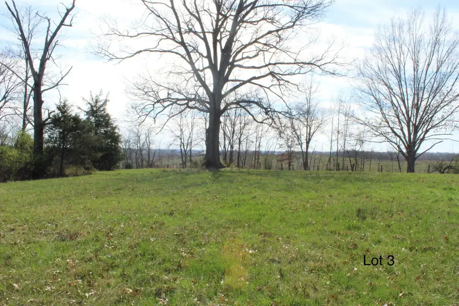 2234 Kentucky 1743 Hwy, Cynthiana, KY 41031 - #3