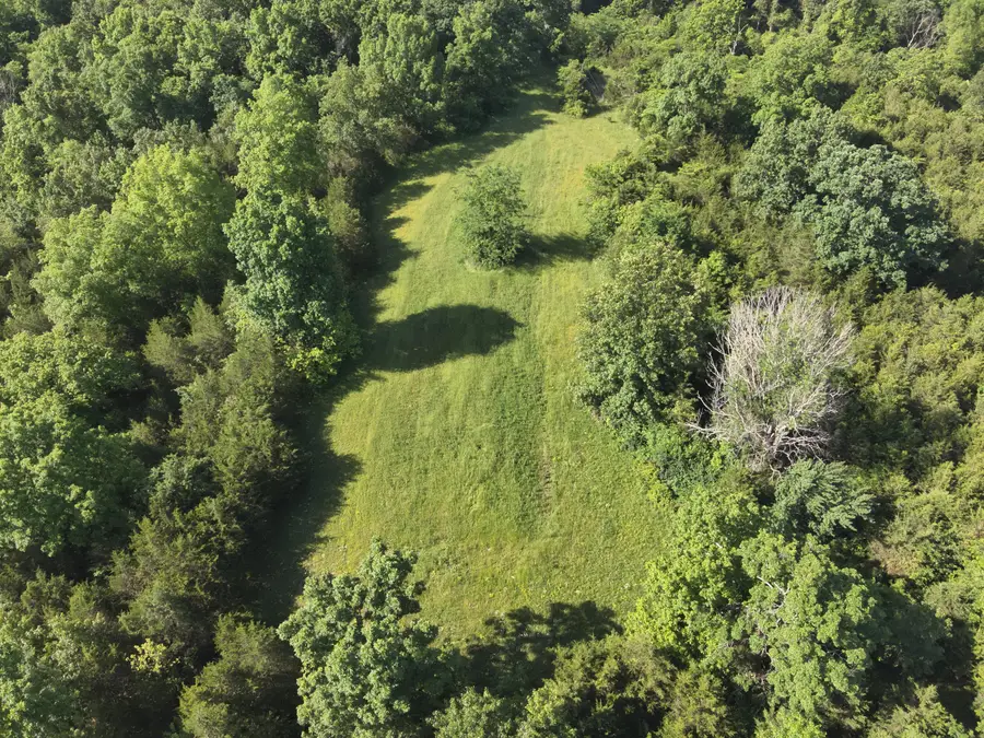 1815 Cedar Creek Road, Mount Olivet, KY 41064 - #3