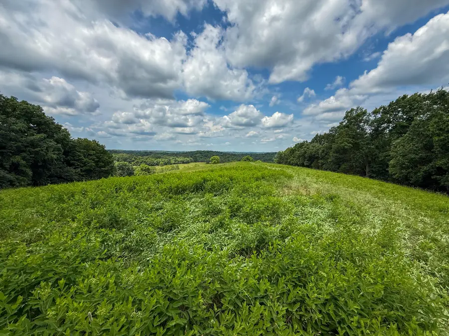 9102 Kentontown Road, Mount Olivet, KY 41064 - #2