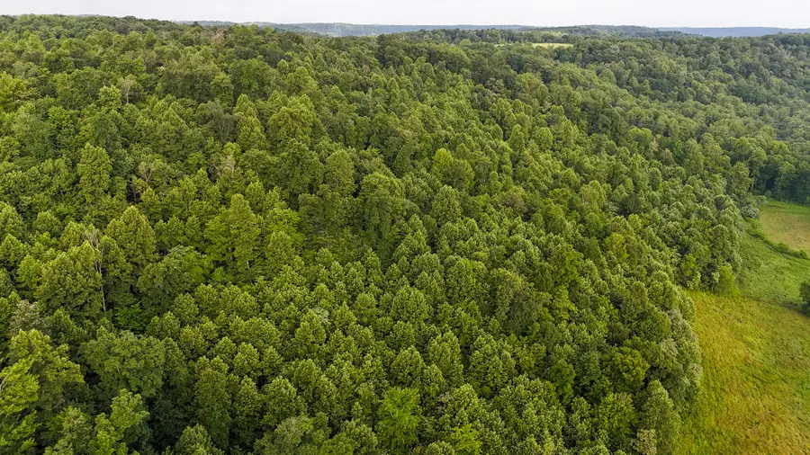 00 Thorp Ridge, Vanceburg, KY 41179 - #3
