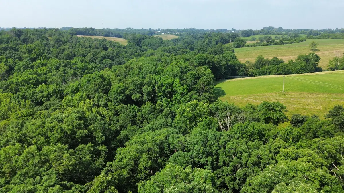277 Needham Lane, Dry Ridge, KY 41035 - #1