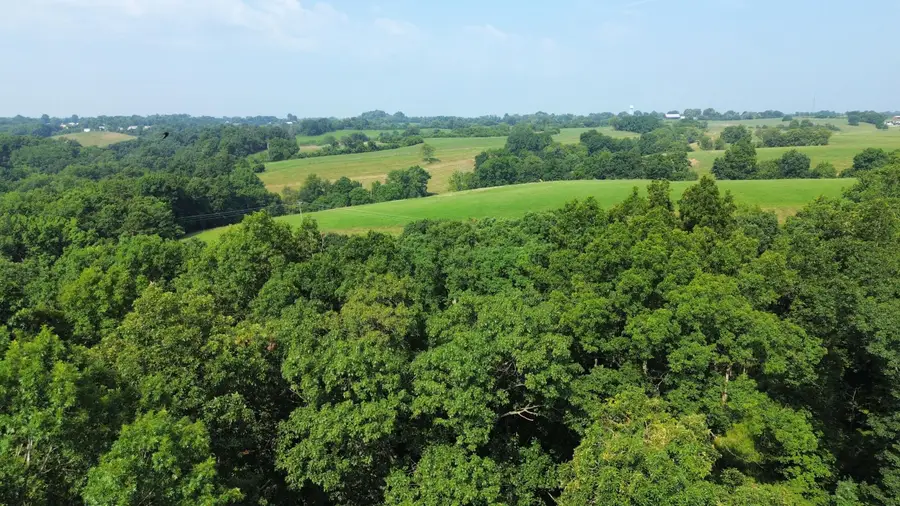 277 Needham Lane, Dry Ridge, KY 41035 - #3