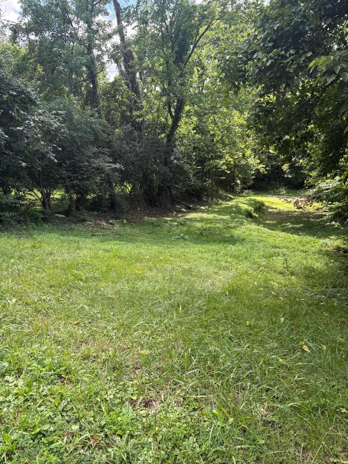 315 Bond Street, Covington, KY 41016 - #1