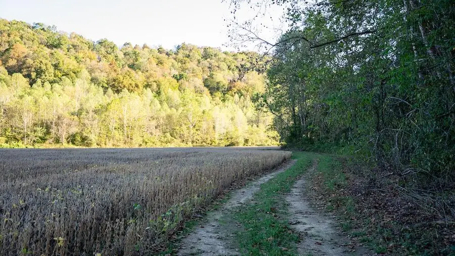 00 Kentucky 344, Vanceburg, KY 41179 - #3
