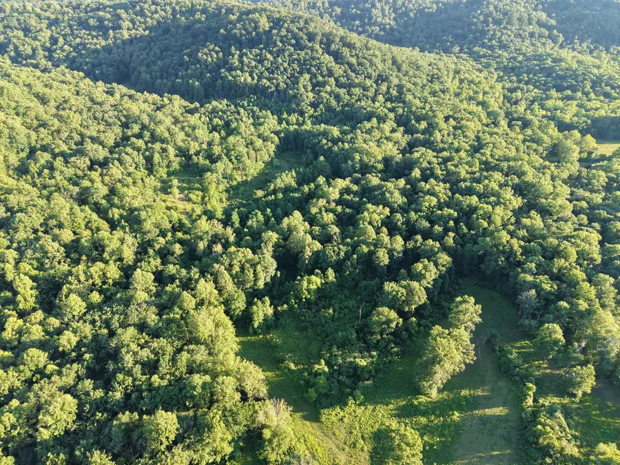 2319 Beechy Creek Road, Tollesboro, KY 41189 - #3