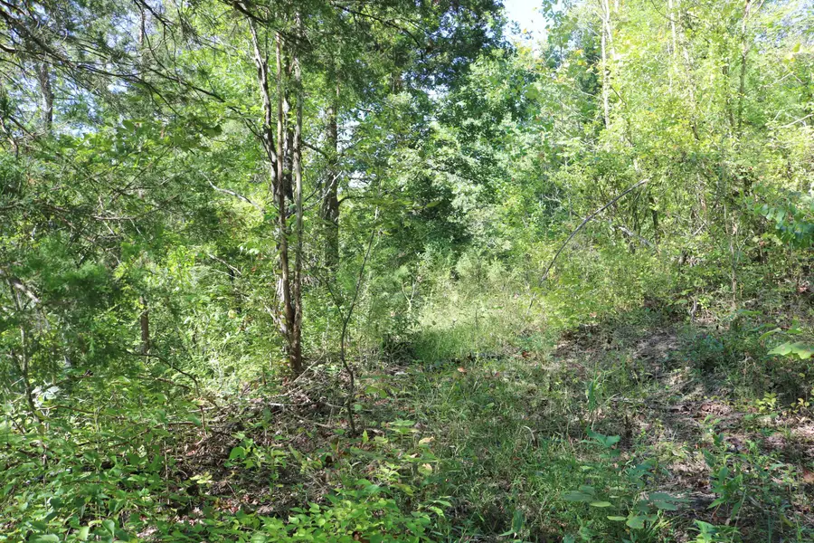 2025 Ky Highway 184 (walnut Valley) Road, Ghent, KY 41045 - #3