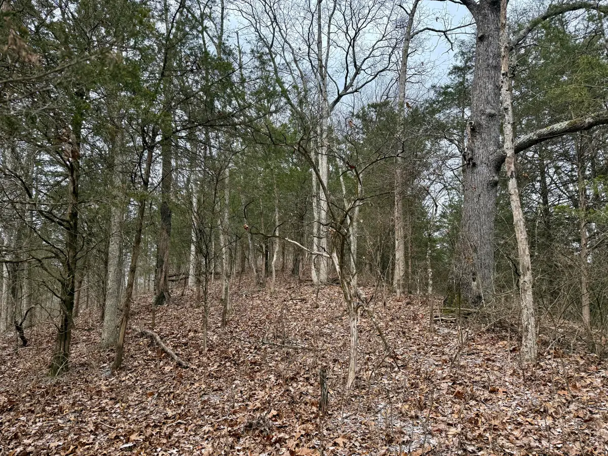 57 +/- Conley Road, Morning View, KY 41063 - #1
